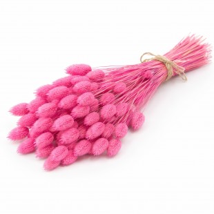 Flori uscate decorative Talaris Roz 60 cm
